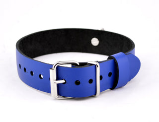 Custom Engraved Blue Leather Collar with Kitten Bell – 'Little Kitten'