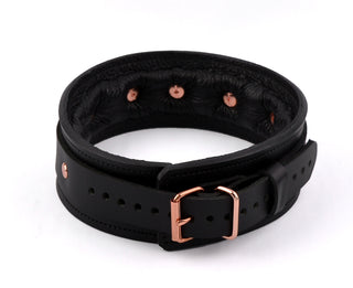 Premium Padded Leather Bondage Collar & Leash - Black & Rose Gold