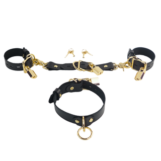The V3RSE Strap - Convertible Handbag Strap to Collar, Cuffs & Connector Set - Black Leather with Gold Lockable Buckles & Square Padlocks