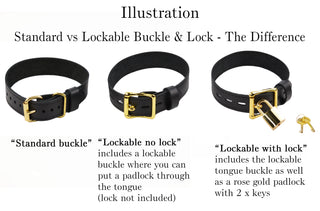 PREMIUM BDSM Leather Restraint Set | Americana Red & Gold | Set of Wrist Ankle Cuffs and Collar