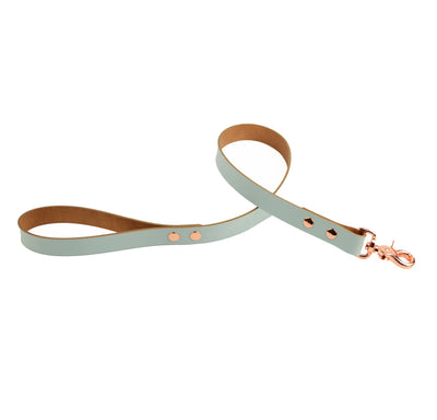 Aqua Adore 75CM - 30" Leather Leash with Rose Gold Hardware