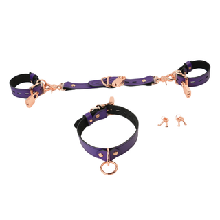 The V3RSE Strap - Rose Gold Lockable Buckles with Square Padlocks