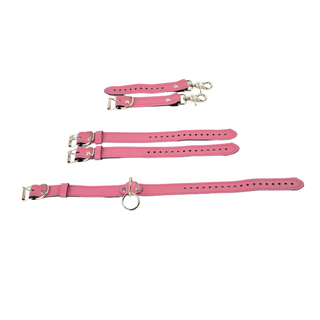 The V3RSE Strap - Silver Standard Buckles