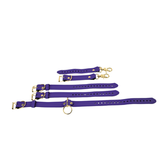 The V3RSE Strap - Gold Standard Buckles