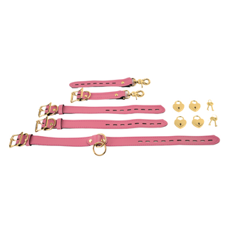 The V3RSE Strap - Gold Lockable Buckles with Love Heart Padlocks