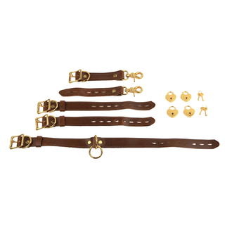 The V3RSE Strap - Gold Lockable Buckles with Love Heart Padlocks