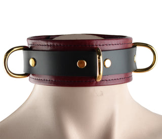 Premium Restraint Set Wrist-Ankle Cuffs And Collar + Cross Connector - Scarlet Red and Gold