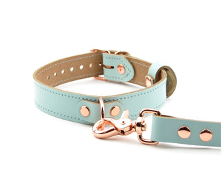 Aqua Adore Blue Leather Aurum Collar with D-Ring & Leash | BDSM Products