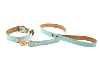 BDSM Shop | Aqua Adore Blue Leather Aurum Collar with D-Ring & Leash