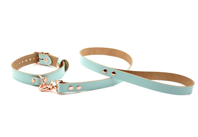 BDSM Shop | Aqua Adore Blue Leather Aurum Collar with D-Ring & Leash