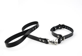 Black Premium Leather Choke Collar & Leash