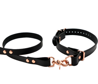 Black Premium Leather Aurum Choke Collar & Leash