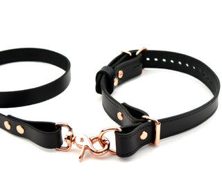 Black Premium Leather Aurum Choke Collar & Leash