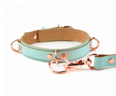 Aqua Adore Blue and Rose Gold Collar & Leash Aphrodite Series