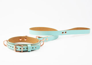 Aqua Adore Blue and Rose Gold Collar & Leash Aphrodite Series