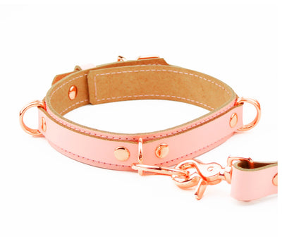 Blush Pink and Rose Gold Collar & Leash Aphrodite Series