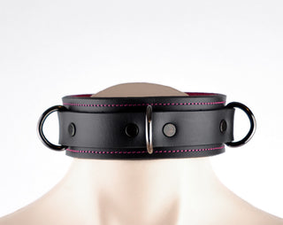 Black & Hot Pink Premium Padded Leather Bondage Collar