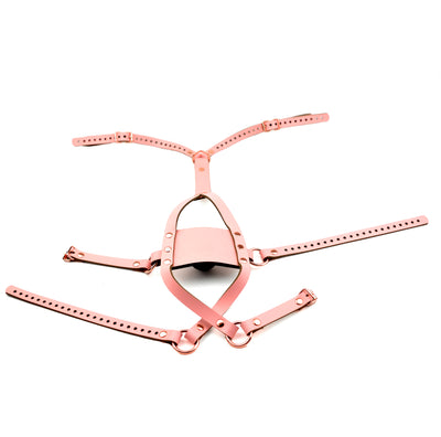 BDSM | Strict Panel Trainer Cross Straps Gag - Blush Pink & Rose Gold