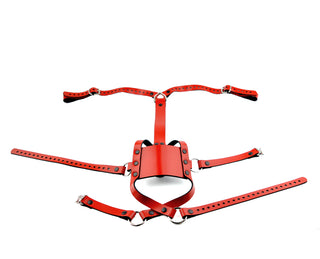 Strict Panel Trainer Cross Straps Gag - Red