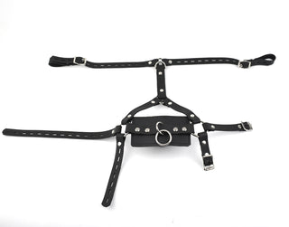 Black Premium Panel Ball Gag Head Harness