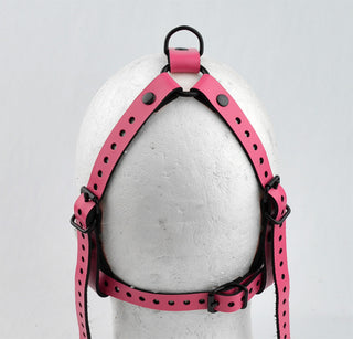 Hot Pink & Black hardware Head Harness Ball Gag - Black ball