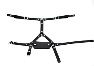 Leather Flat Panel Gag Head Harness - Black
