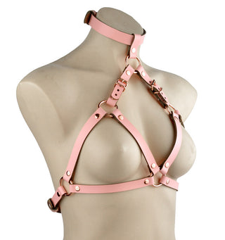Blush Pink Leather Rose Gold Harness Set