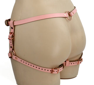 Blush Pink Leather Rose Gold Harness Set