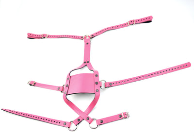 Strict Panel Trainer Cross Straps Gag - Hot Pink | BDSM Gag