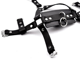 Black Premium Panel Ball Gag Head Harness