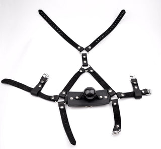 Black Premium Panel Ball Gag Head Harness