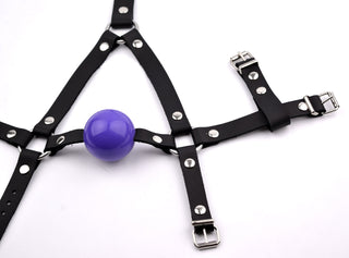 Black Head Harness Ball Gag - Purple Ball