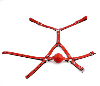Red Head Harness Ball Gag - Red Ball