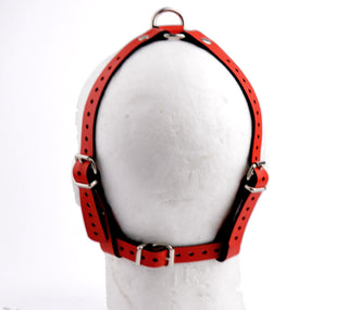Red Head Harness Ball Gag - Black Ball